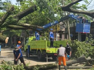 Foto: Petugas gabungan TNI–Polri dan BPBD Kabupaten Trenggalek mengevakuasi pohon trembesi tumbang yang melintang di Jalan Raya Kecamatan Panggul, Trenggalek