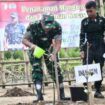 Foto: Foto: Komandan Korem 081/DSJ Kolonel Arm Untoro Hariyanto bersama Forkopimda dan elemen masyarakat melakukan penanaman bibit mangrove di kawasan Pantai Watu Mejo, Pacitan