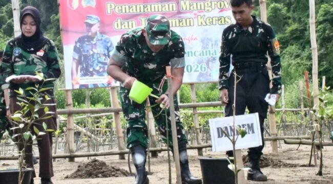 Foto: Foto: Komandan Korem 081/DSJ Kolonel Arm Untoro Hariyanto bersama Forkopimda dan elemen masyarakat melakukan penanaman bibit mangrove di kawasan Pantai Watu Mejo, Pacitan