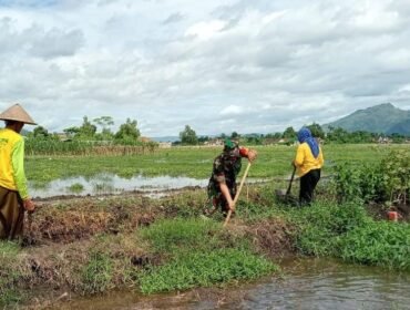 Foto: Babinsa Desa Kedungwilut Koptu Yudi Purwanto bersama warga bergotong royong membersihkan saluran irigasi di area persawahan, Minggu (15/2/2026),