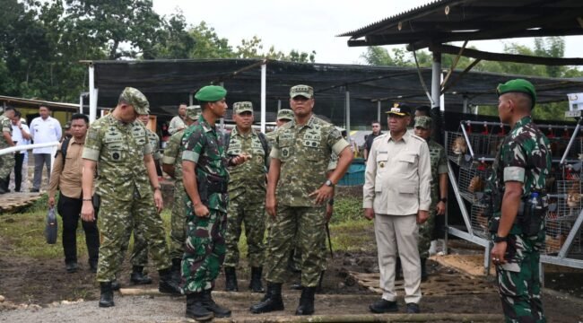 Foto: Wakil Panglima TNI Jenderal Tandyo Budi Revita meninjau area budidaya ayam petelur di lingkungan Batalyon Teritorial Pembangunan (Yon TP) 886/PJ, Kabupaten Tulungagung, Rabu (18/2/2026)