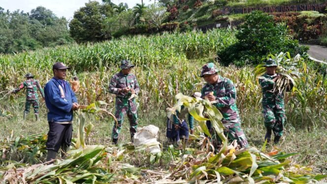 
					Foto: Anggota Satgas TMMD ke-127 Kodim 0808/Blitar bersama warga memanen jagung di Dusun Barurejo, Desa Krisik, Kecamatan Gandusari, Kabupaten Blitar, Minggu (22/2/2026).