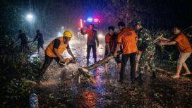 Foto: TNI dan Personel Gabungan Evakuasi Pohon Tumbang di Jalan Nasional Trenggalek