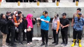 Wali Kota Jakarta Pusat, Arifin, menunjukkan ikan sapu-sapu hasil tangkapan saat memimpin kegiatan pengendalian spesies invasif di saluran air kawasan Plaza Indonesia, Jakarta, Jumat.