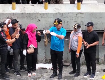 Wali Kota Jakarta Pusat, Arifin, menunjukkan ikan sapu-sapu hasil tangkapan saat memimpin kegiatan pengendalian spesies invasif di saluran air kawasan Plaza Indonesia, Jakarta, Jumat.