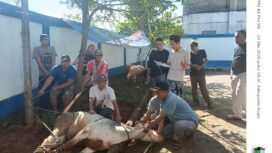 Foto : Di tengah semarak perayaan Hari Raya Idul Adha 1446 H, Persatuan Wartawan Indonesia (PWI) Kabupaten Bogor membuktikan bahwa peran insan pers tidak berhenti hanya di ruang redaksi