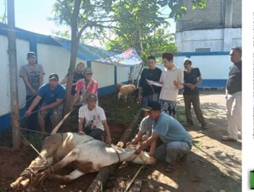Foto : Di tengah semarak perayaan Hari Raya Idul Adha 1446 H, Persatuan Wartawan Indonesia (PWI) Kabupaten Bogor membuktikan bahwa peran insan pers tidak berhenti hanya di ruang redaksi