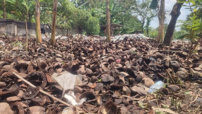 
					Foto : Limbah sabut kelapa muda 
