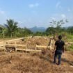 Foto:Dugaan persoalan penerbitan sertifikat tanah di Desa Sukamulya, Kabupaten Bogor, kembali menyoroti pentingnya transparansi administrasi pertanahan dan kepastian hukum bagi masyarakat.